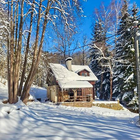 Srub V Bolkovskem Udoli Villa Rudník Exterior foto