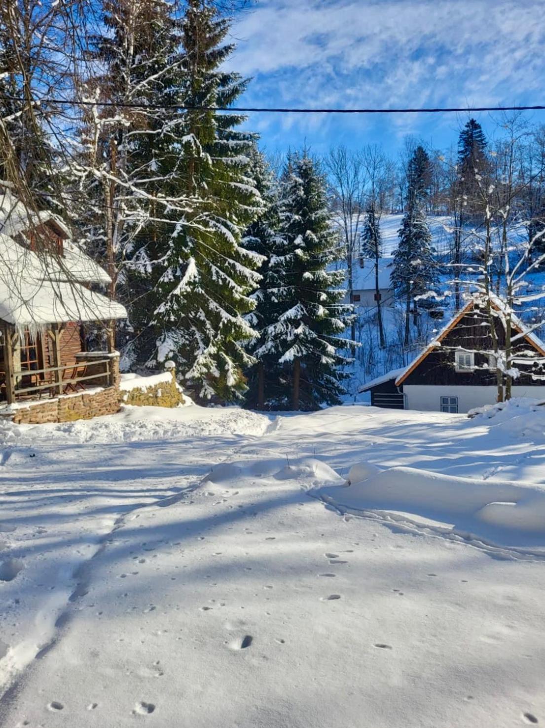 Srub V Bolkovskem Udoli Villa Rudník Exterior foto