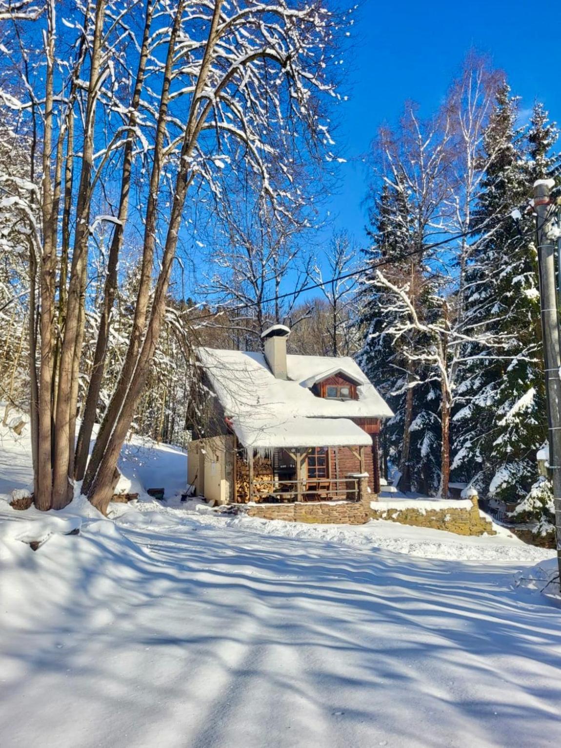 Srub V Bolkovskem Udoli Villa Rudník Exterior foto